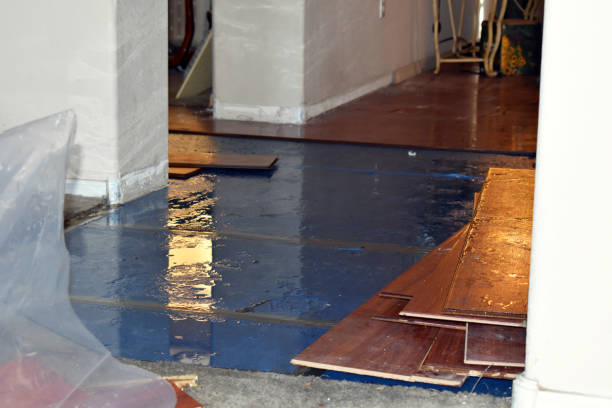 Professional Water Damage Restoration technician working in Easthampton, MA